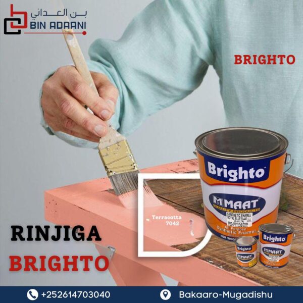 Brighto Paints-Shine Paint - Image 2