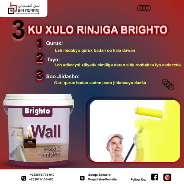 Brighto Paints-Plastic jag - Image 5
