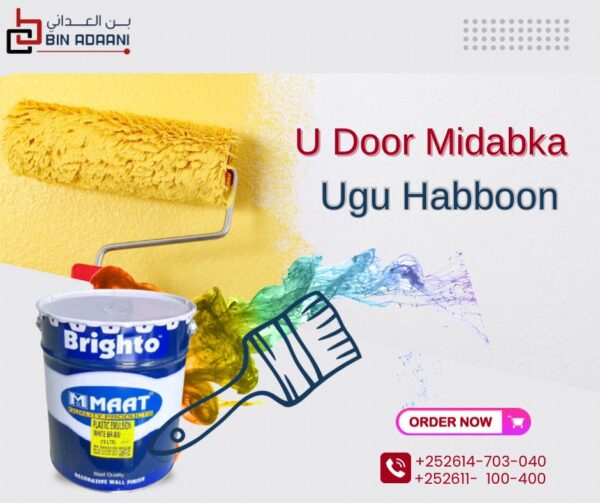 Brighto Paints-Can - Image 4